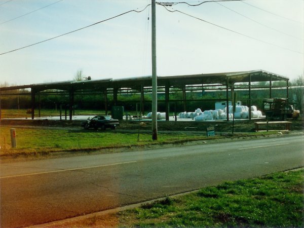 img_0009_lg.jpg