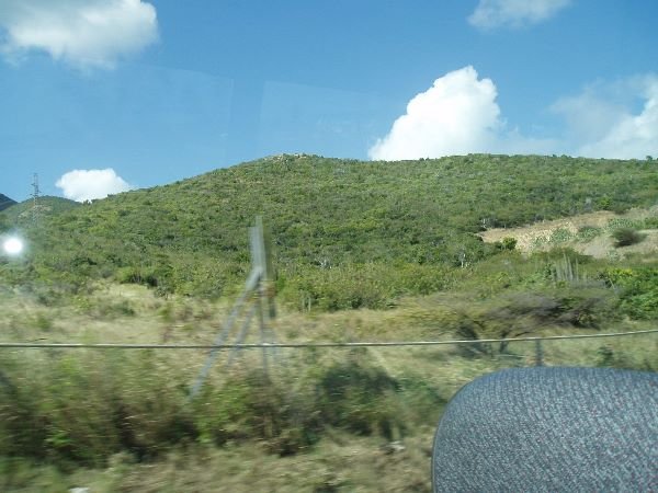 img_0078_lg.jpg