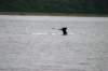 image1006_small.jpg
