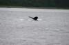 image1007_small.jpg