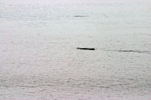 image101.jpg