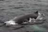 image1011_small.jpg