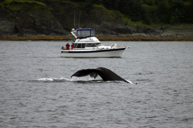 image1016.jpg