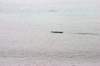 image101_small.jpg