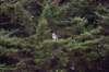image1050_small.jpg