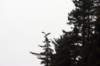 image1078_small.jpg
