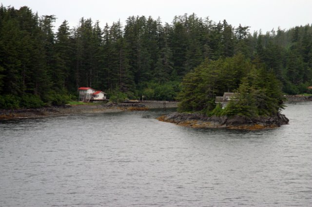 image1246.jpg