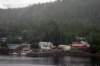 image125_small.jpg