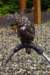 image1353_small.jpg