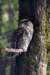 image1368_small.jpg