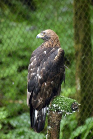 image1374.jpg