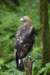 image1374_small.jpg
