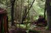 image1386_small.jpg