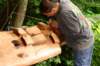 image1436_small.jpg