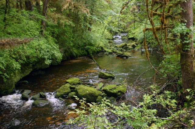 image152.jpg