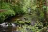 image152_small.jpg