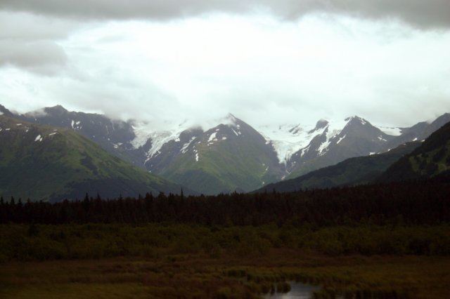 image1633.jpg
