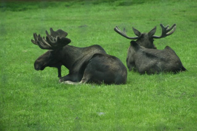 image1656.jpg