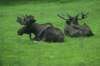 image1656_small.jpg