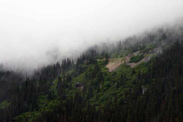 image388.jpg