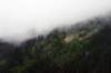 image388_small.jpg