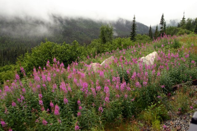 image433.jpg