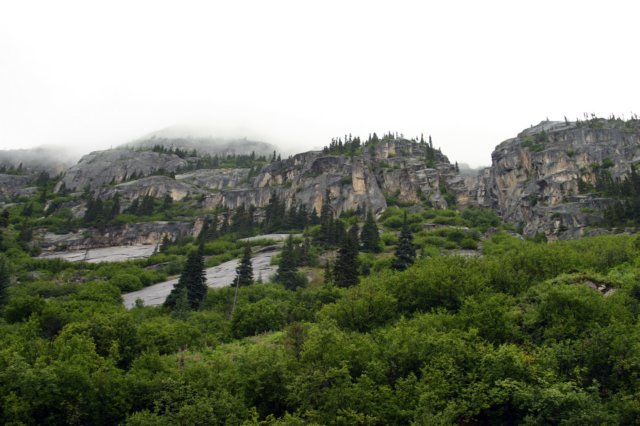 image445.jpg