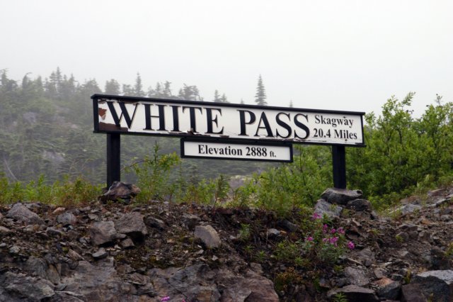 image481.jpg