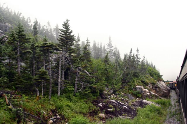 image505.jpg