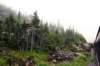 image505_small.jpg