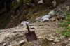 image578_small.jpg