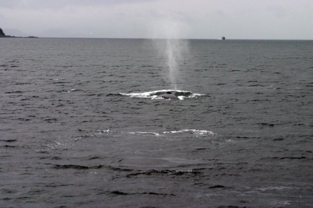 image989.jpg