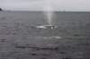 image989_small.jpg