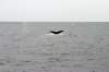 image996_small.jpg