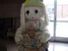 img_0002_md_small.jpg