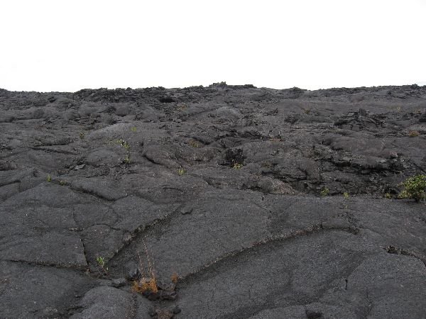 img_0120_md.jpg