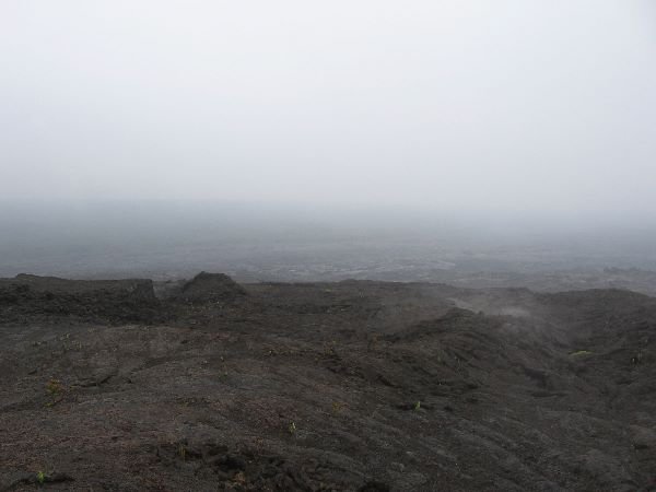 img_0132_md.jpg