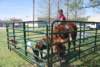 dsc0159_small.jpg